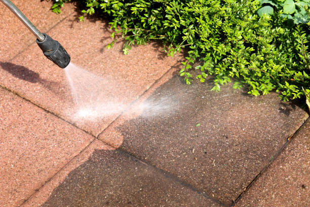 Best Exterior Home Cleaning  in St Martinville, LA